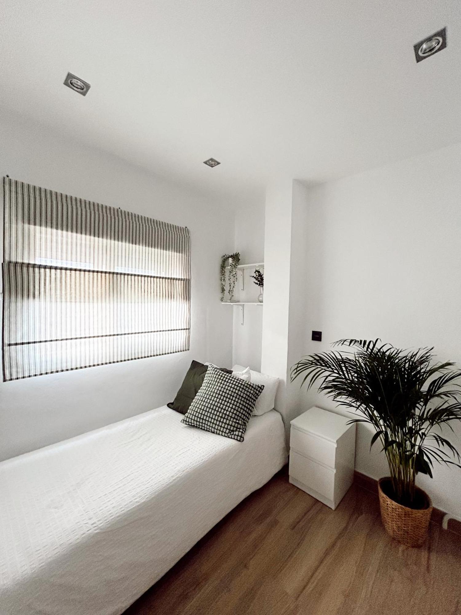 Cosy Trinidad Apartment Malaga Ngoại thất bức ảnh